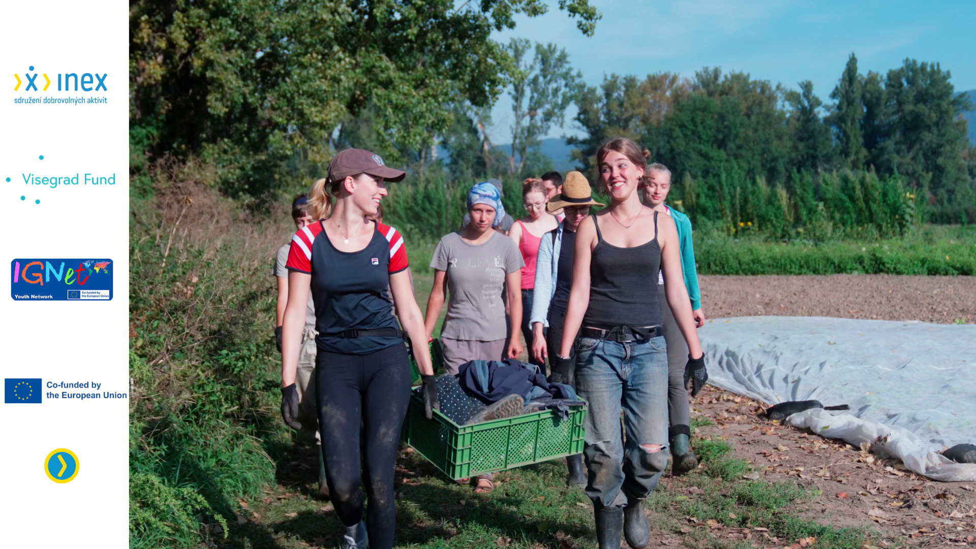 Group of volunteers in the field working