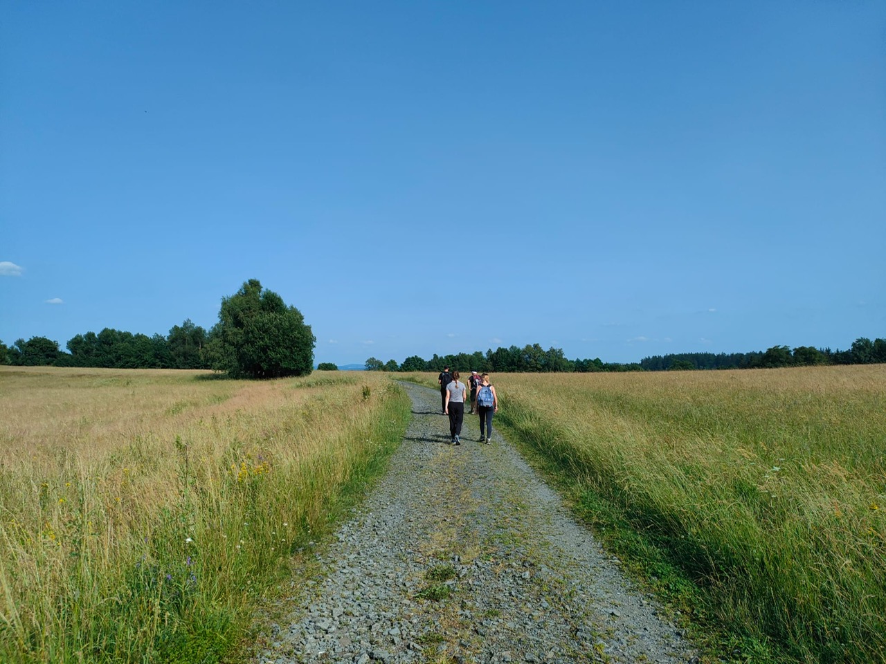 Heartbeats-for-Historical-Brewery-2024_volunteers-walking-in-the-field